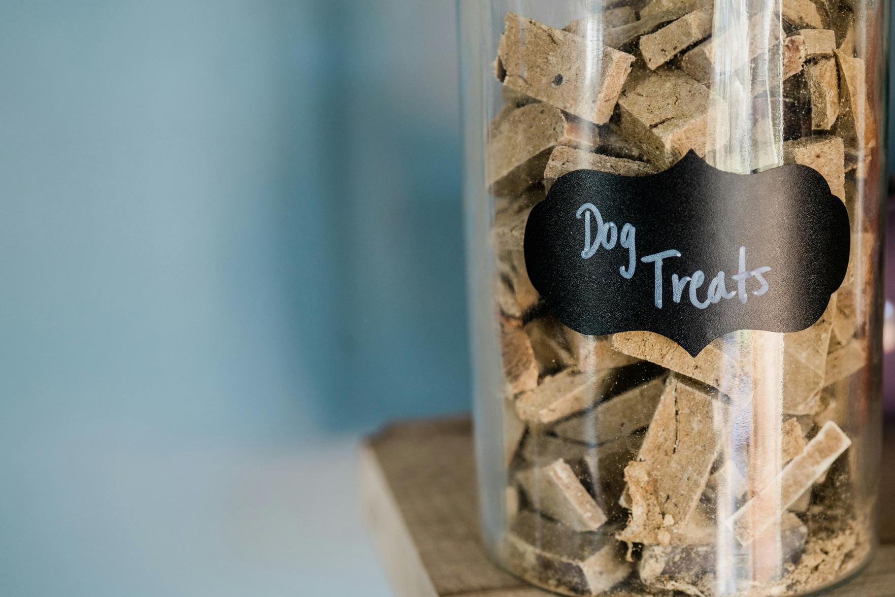 Receitas Saudáveis para Cachorros: Delícias Caseiras e Nutritivas para seu Pet