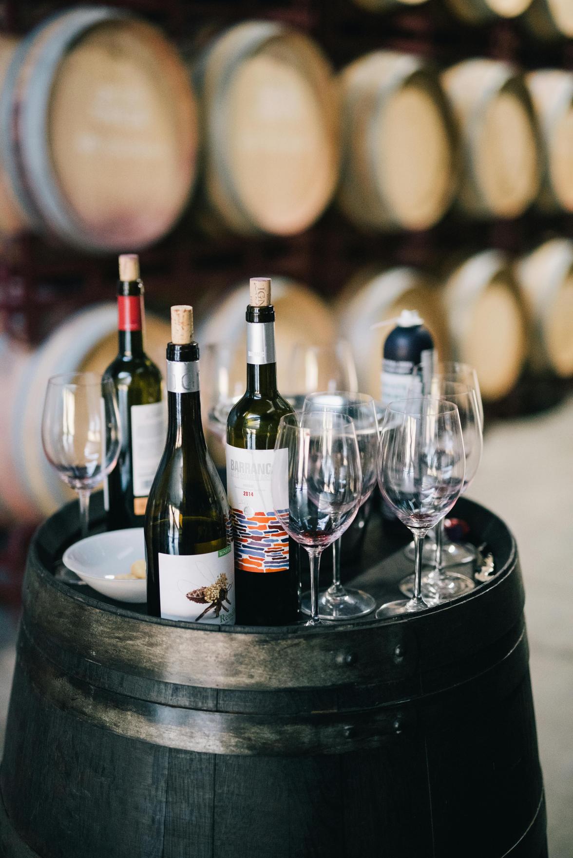 Experiência Gastronômica: Como Adegas Climatizadas Transformam o Armazenamento e o Sabor do Vinho para Apreciadores