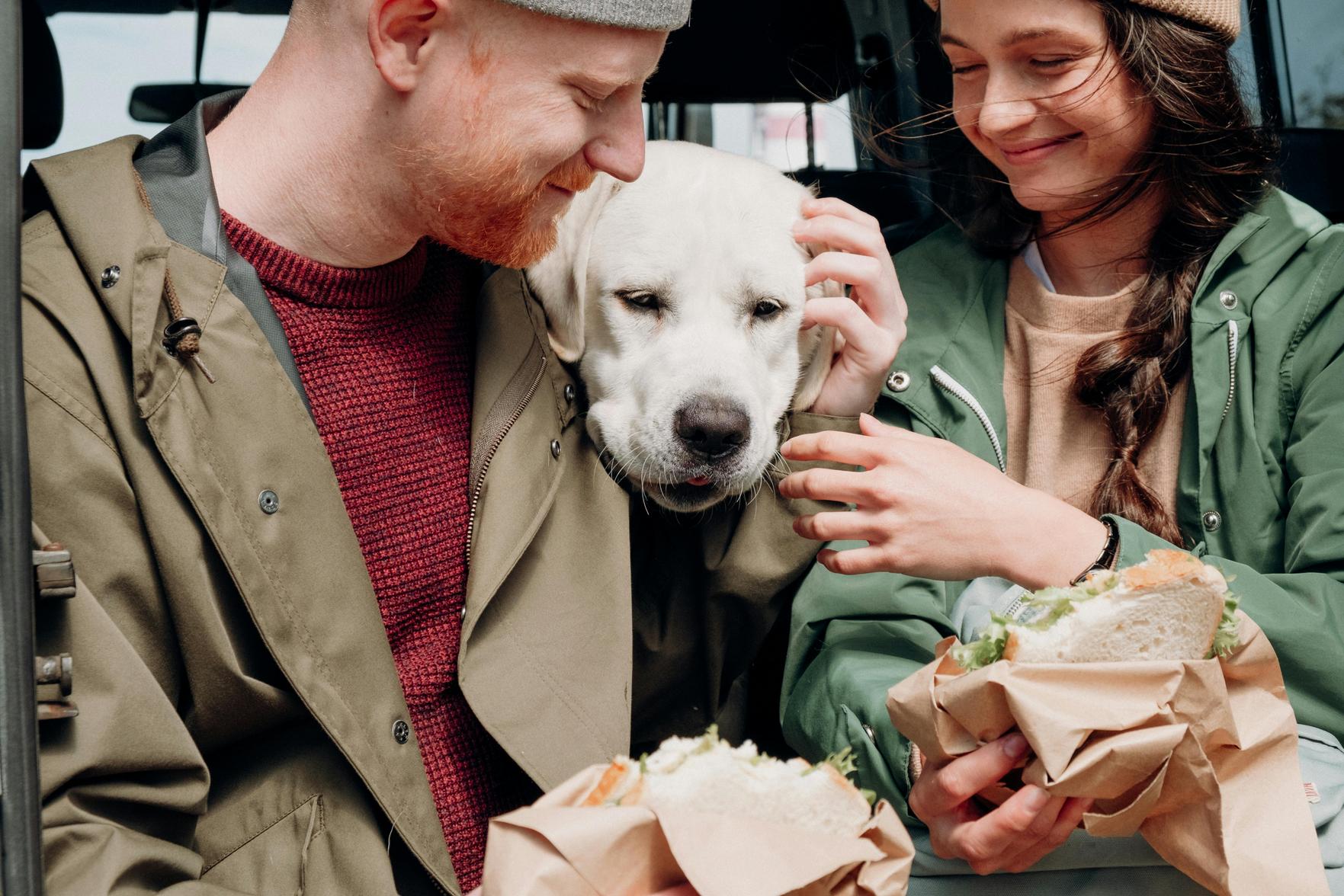 Delícias Gastronômicas Pet-Friendly para Viajar com Seu Cão