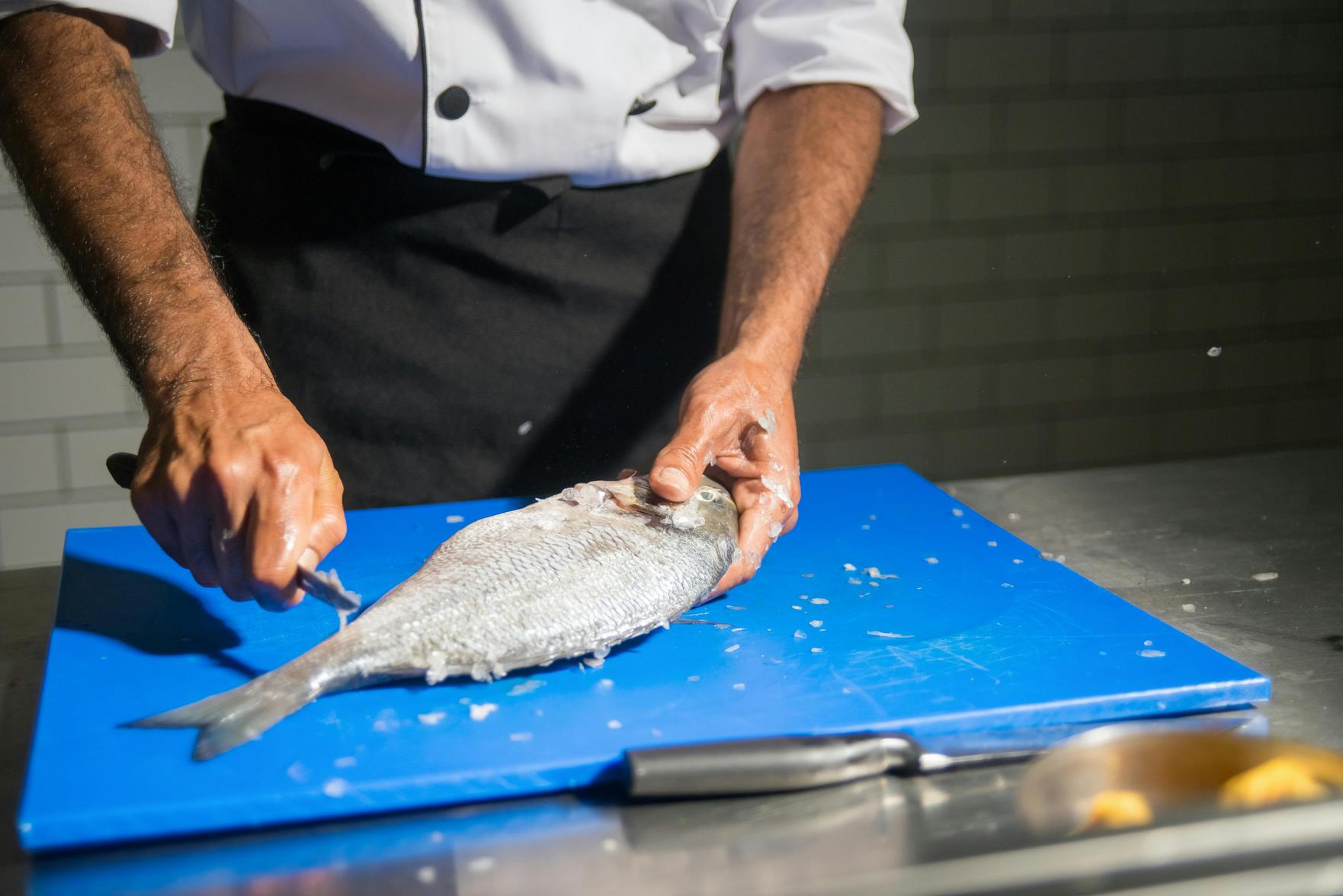 Curso de Gastronomia EAD: Domine Habilidades Culinárias e Transforme Sua Carreira na Culinária Internacional
